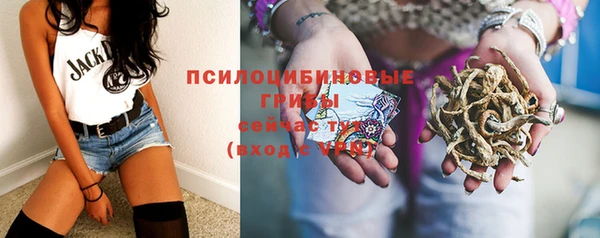 apvp Нягань
