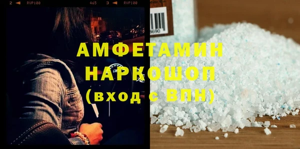 молекула духа Няндома