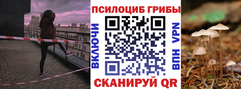 Псилоцибиновые грибы Psilocybe  Ковылкино 